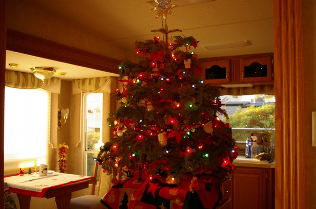 island-tree-resized-for-blog